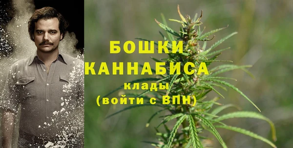прущие грибы Строитель