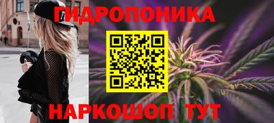 прущие крисы Гагарин