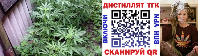 ТГК THC oil  Благовещенск 