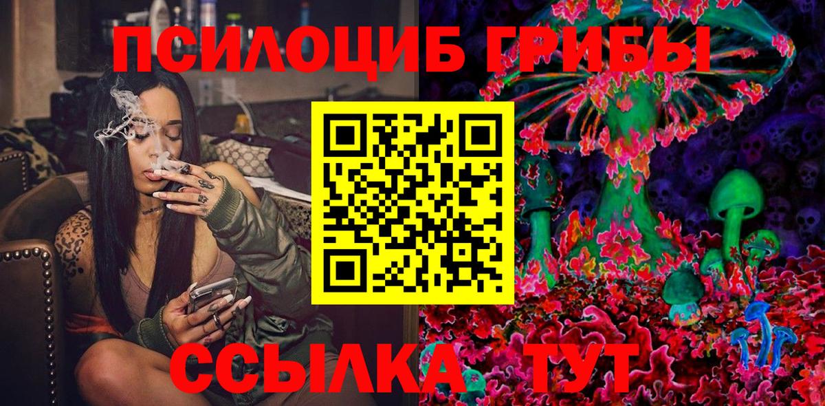 Псилоцибиновые грибы Psilocybe Благовещенск