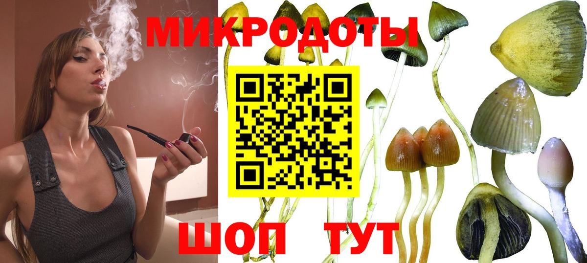 Галлюциногенные грибы Magic Shrooms Благовещенск